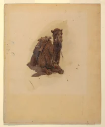 Kauernder Dromedar, 1868
