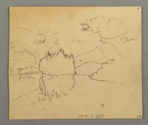 Zeichnung, tote Bäume, Pflanze, möglicherweise 1868