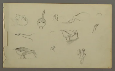 Acht Studien von Enten, zwei Figurenstudien, möglicherweise 1857–58