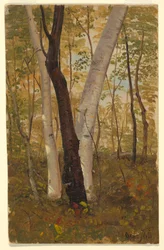 Zeichnung, In den Wäldern, Hudson, New York, Oktober 1865