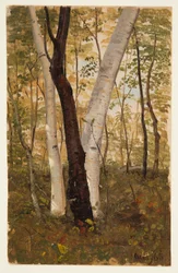 Zeichnung, In den Wäldern, Hudson, New York, Oktober 1865