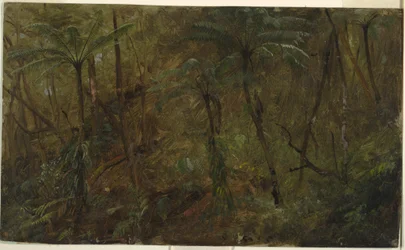 Zeichnung, In den Wäldern von Jamaika, Westindische Inseln, 1865