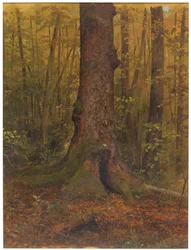 Im Wald, wahrscheinlich Maine, 1850–60