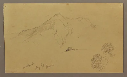 Zeichnung, Landschaft, Pflanzen, Bloxburgh, August 1865