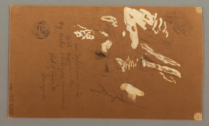 Unterer Teil eines Baumes, 9. Juli 1868