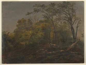 Zeichnung, Wälder von Maine, 1845-55