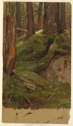 Maine? Wälder, 1855–65