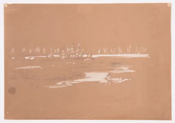 Zeichnung, Sumpfige Landschaft bei Millinocket, 20. September 1878