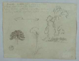 Zeichnung, Naturstudien vom Rio Magdalena, Kolumbien: Bäume, Lianen und ein Kanu, Mai 1853