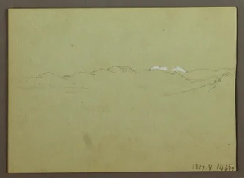 Pflanzen- und Landschaftsstudie