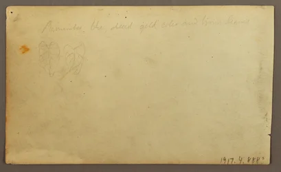 Fluss Limona in der Nähe eines Dorfes, Ecuador oder Kolumbien; Verso: Blätter, 1857