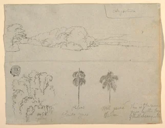 Zeichnung, Skizzen aus Kolumbien: Ufer eines Flusses oder einer Bucht und Bäume, 1853
