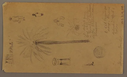 Zeichnung, Skizzen aus Jamaika, Westindien, Juni 1865