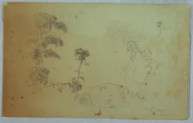 Studien von Bäumen mit Details von Bambus und einem kleinen Detail eines Mannes, der Bananen auf dem Kopf trägt, Bellevue, Jamaika, August 1865