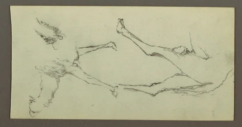Studie von Kamelbeinen, möglicherweise 1868
