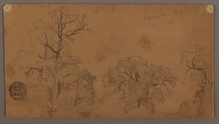 Zeichnung, Baumwipfel, Niagara, 27. August 1856