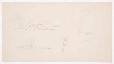 Bäume, ein Ufer mit Büschen und Bäumen, September 1876