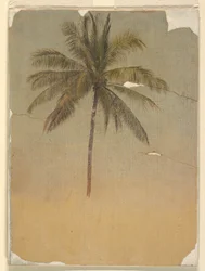 Stamm und Spitze einer Palme, 1865