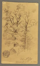 Zwei Bäume, 1877