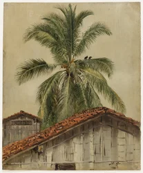 Palmen und Hausdächer, Ecuador
