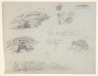 Bäume, Baumwipfel und ein bewaldetes Ufer, Saddleback, Maine