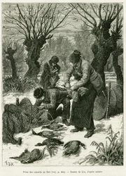 Entenfang im Netz. Gravur von Lix zur Illustration der Geschichte A Travers l