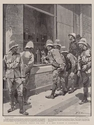 Alte Freunde, Muscheln zum Verkauf in einem Schaufenster in Ladysmith