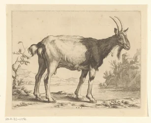Ziege (Das Zeichenbuch von Abraham Bloemaert, Serie)