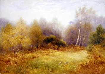 Kaninchen in einer Waldlichtung