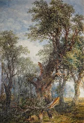 Der gebrochene Ast, 1881