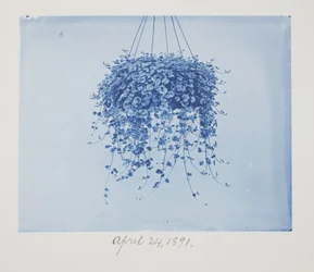 Ohne Titel, 24. April