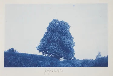 Ohne Titel, 19. Juli