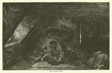 Das wässrige Nest