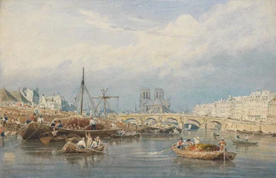 Die Seine mit Notre Dame