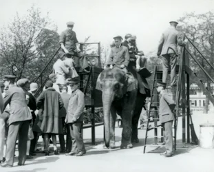Besucher stehen für einen Elefantenritt an, während andere mithilfe von fünf Tierpflegern aufsteigen, Londoner Zoo, 1927