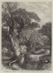 Ein Landweg in Surrey