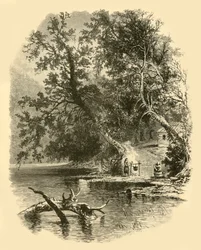 Nordarm des Susquehanna bei Hunlocks