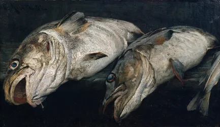Kabeljau