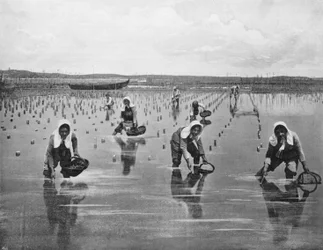 Arcachon - Austernpark (s/w Foto)