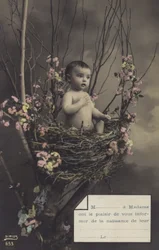 Baby in einem Nest