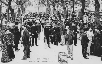 Vogelmarkt, Paris