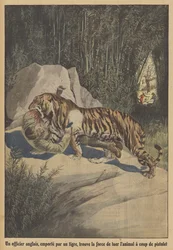 Ein britischer Offizier, von einem Tiger verschleppt, findet die Kraft, das Tier mit seiner Pistole zu töten