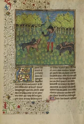 Ein Jäger, der Hunde trainiert, auf das Hornsignal zu reagieren, ca. 1430-40