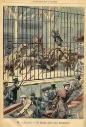 Eine Dompteurin wird in einer Menagerie in Dessau, Deutschland, von ihren Löwen gefressen. Gravur in „Le Petit Parisien“, am 27.12.1903.