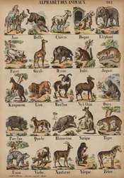 Das ABC der Tiere