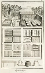Ein Gemüsegarten, aus The Encyclopedia of Science, Art and Engineering von Denis Diderot (1713-84), ca. 1770