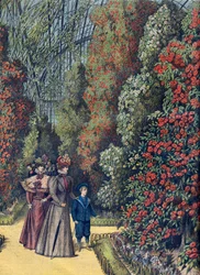 Akklimatisationsgarten - das Kamelienhaus - Kameliengewächshaus in einem botanischen Garten