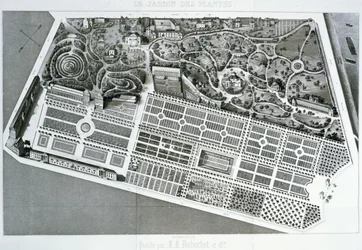 Luftaufnahme des Plans des Jardin des Plantes in Paris, 1842