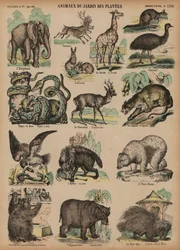 Tiere des Jardin des Plantes, Paris, Frankreich (Farbstich)