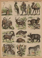 Tiere des Jardin des Plantes, Paris, Frankreich
